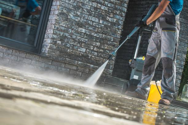 Animal Enclosure Cleaning in West Livingston, TX