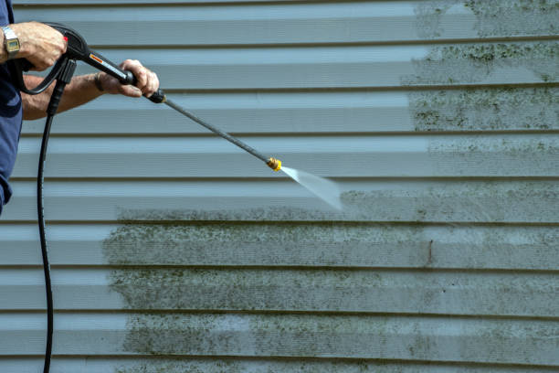Best House Exterior Washing  in West Livingston, TX
