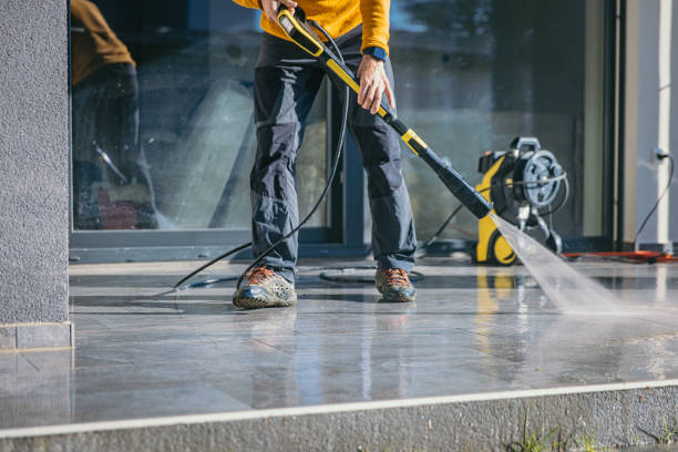 Best Driveway Pressure Washing  in West Livingston, TX